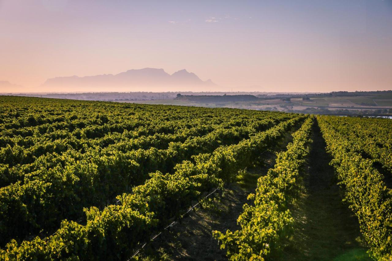 Lyngrove Wines & Guesthouse Stellenbosch Exterior foto